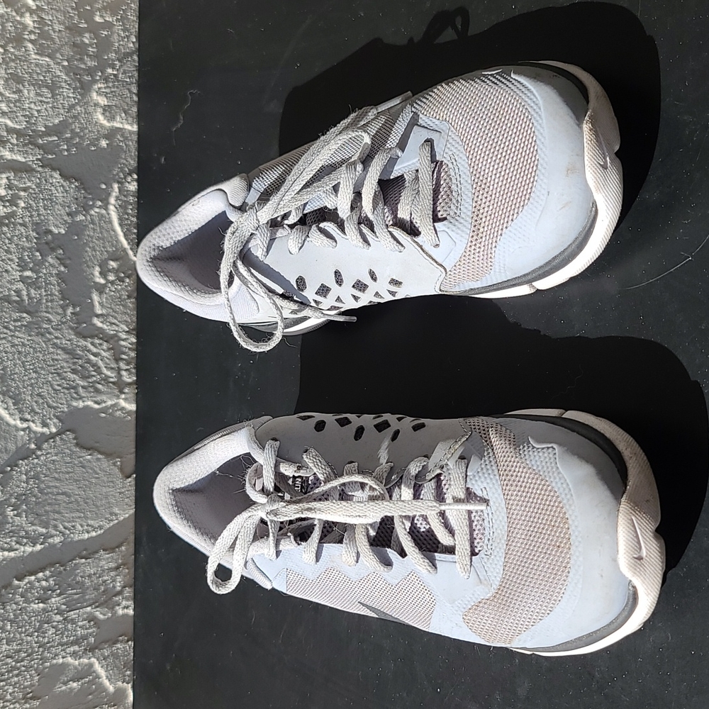 Men's Flex Run Nike Sneakers